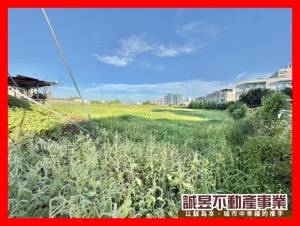 誠昱/永康自強路大坪數.