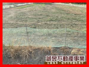 誠昱/王行路2.7分.